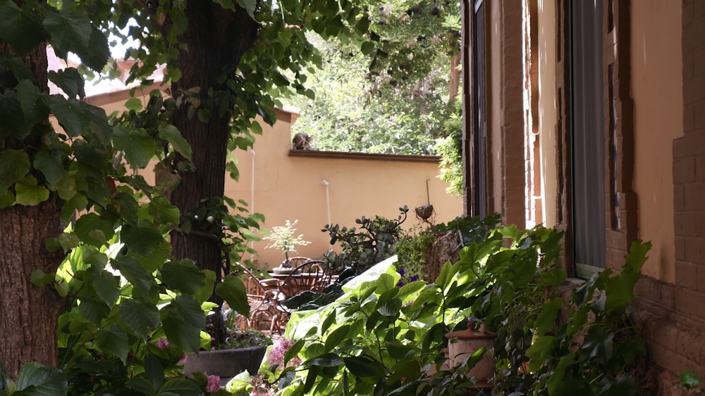 a view of a patio through a window of a house