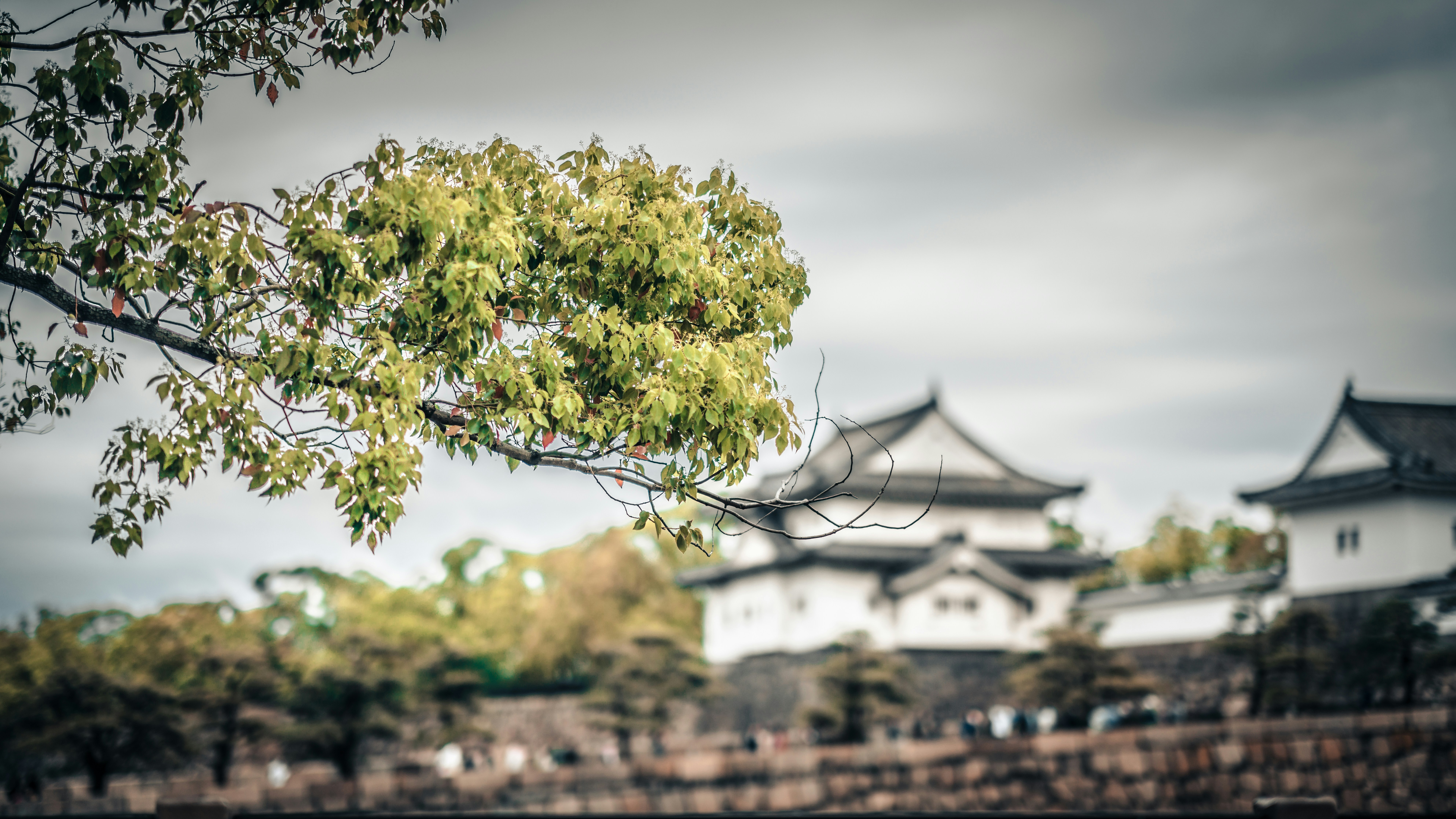 Photo by alxndr_london