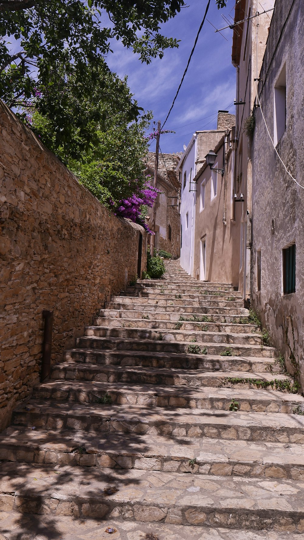 stairs beside purple flowers during daytime