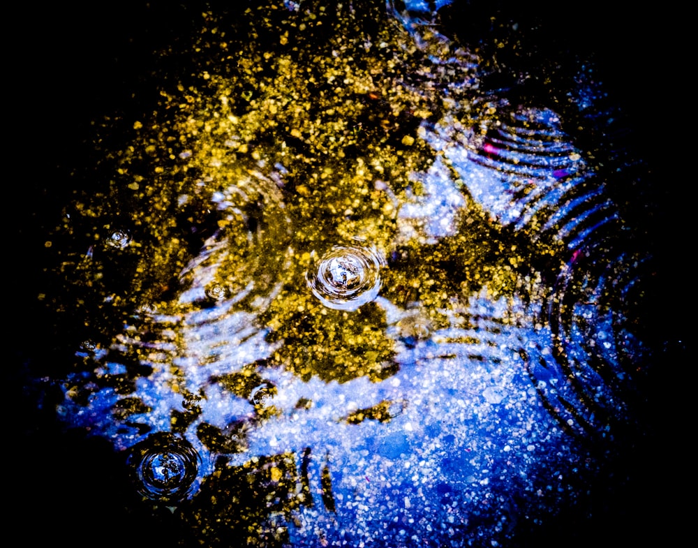 a reflection of a tree in a puddle of water