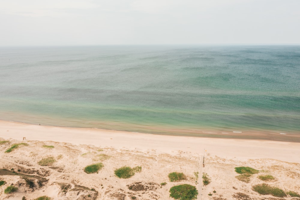 landscape photography of seashore