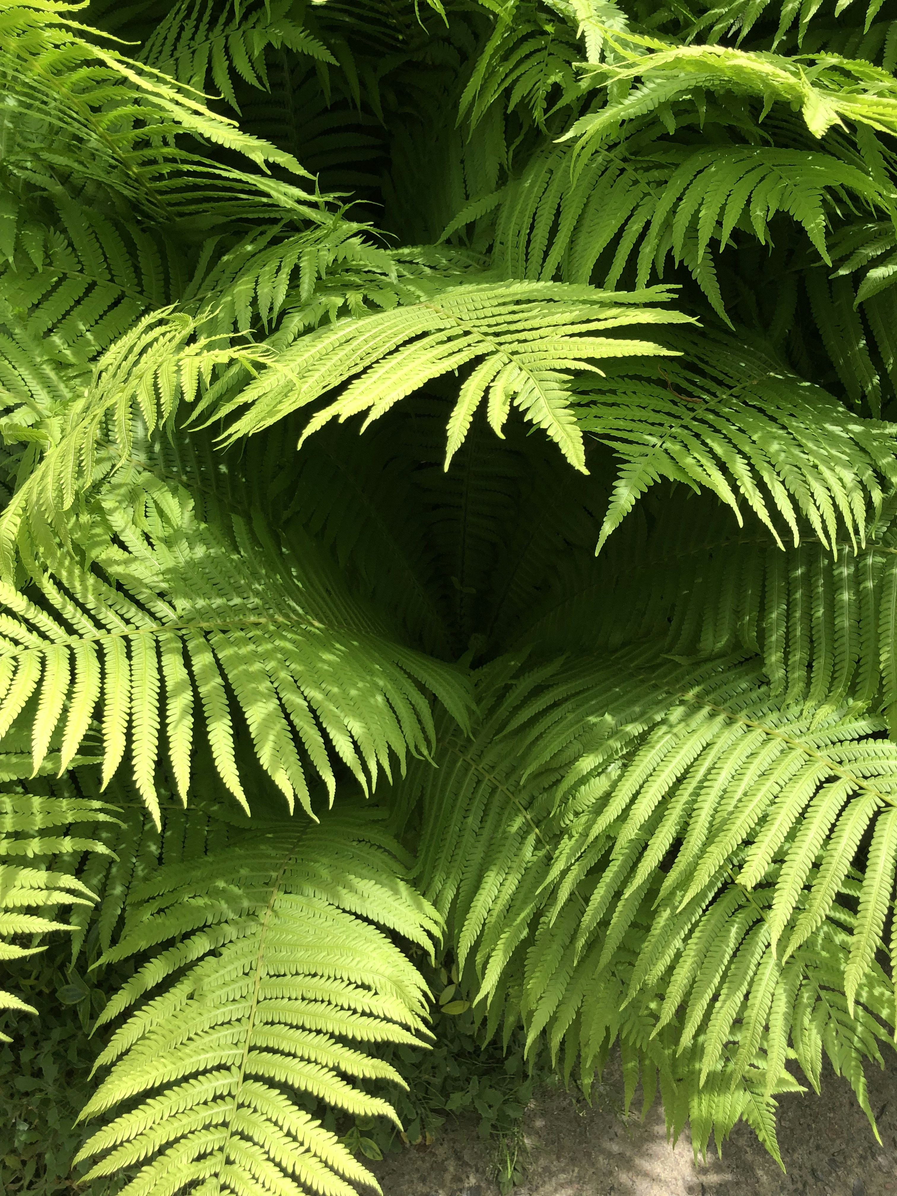 Photo by alexandrmamedov