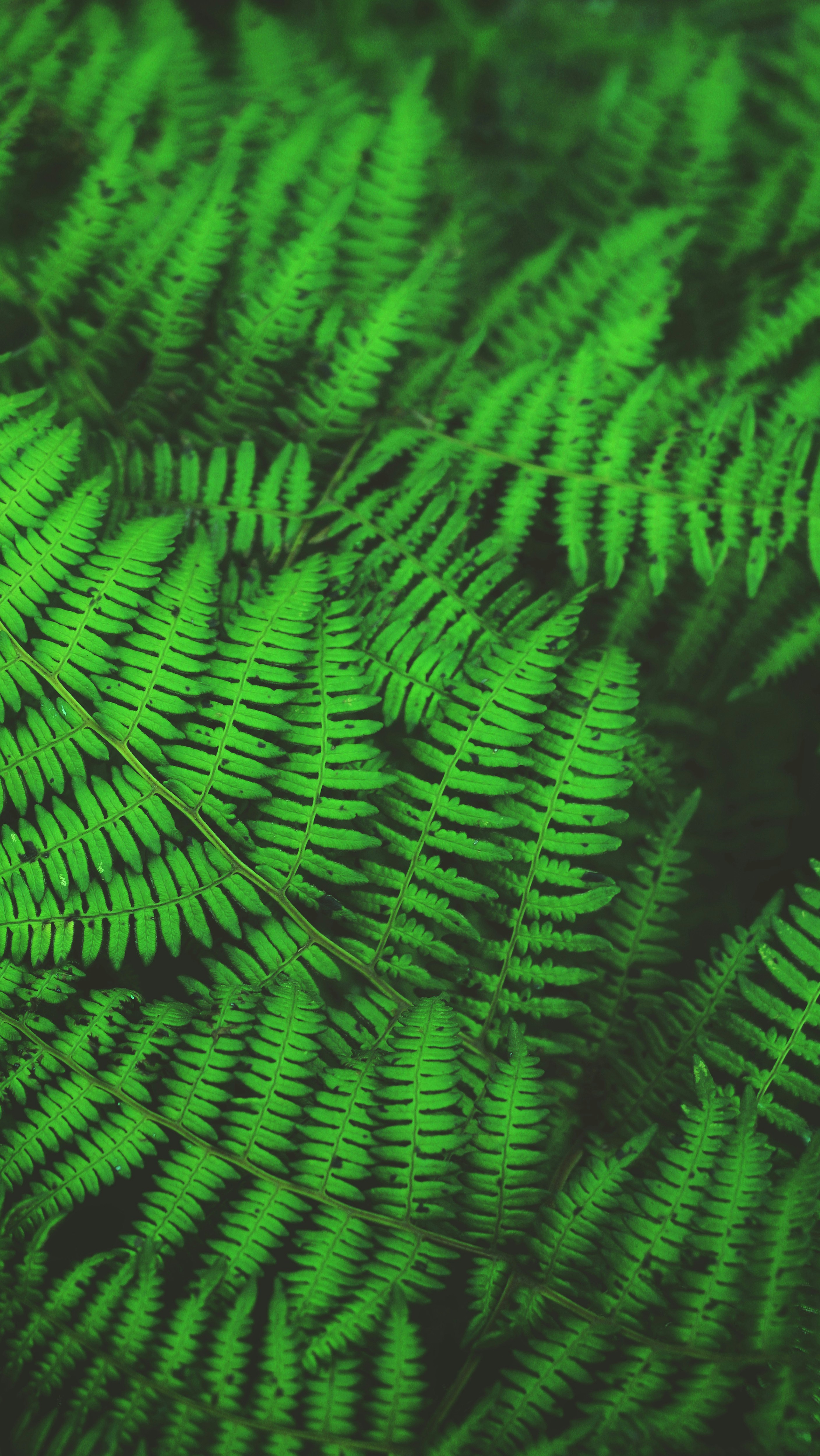 Photo by siegmundphotography