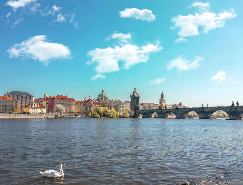 landscape photography of bridge leading to a city