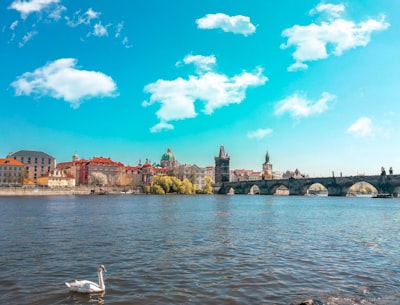 landscape photography of bridge leading to a city prague zoom background