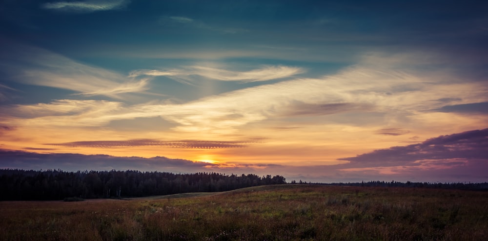 brown field during golden hour