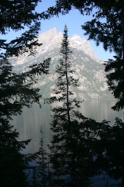 A serene mountain landscape symbolizing growth and clarity in business.