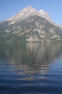 Towering granite peaks of Torres del Paine reflected in a crystal-clear glacial lake surrounded by lush greenery.