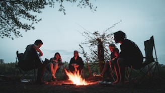 A group of campers sitting around a campfire in a forest clearing during sunset