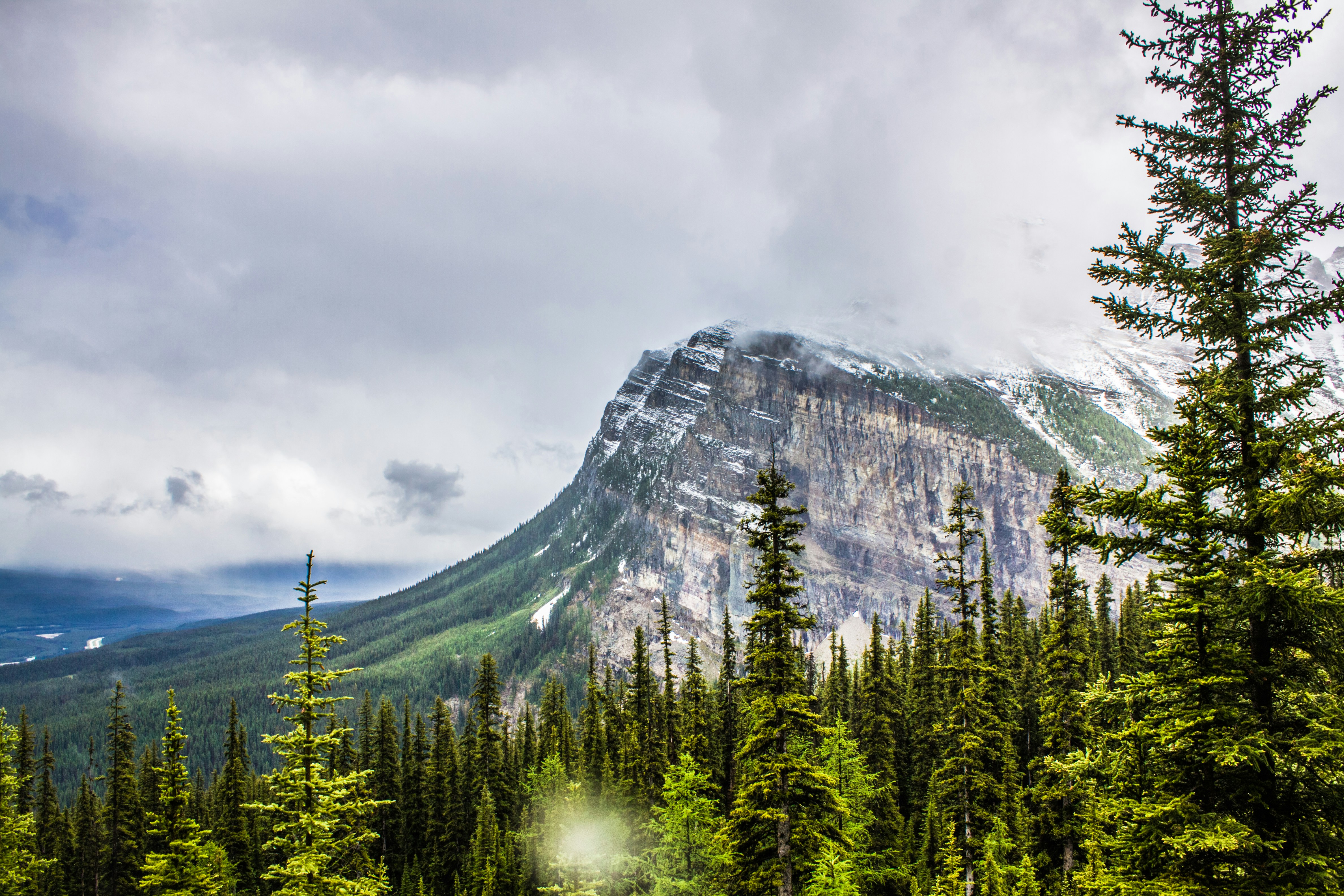 Photo by alexkurchev