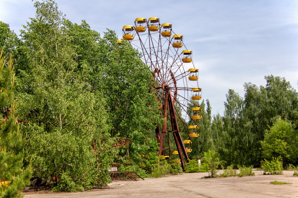 orange ferris wheel surrounded by trees