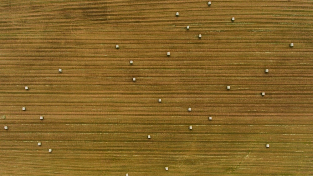 grey metal studs on brown wooded surface