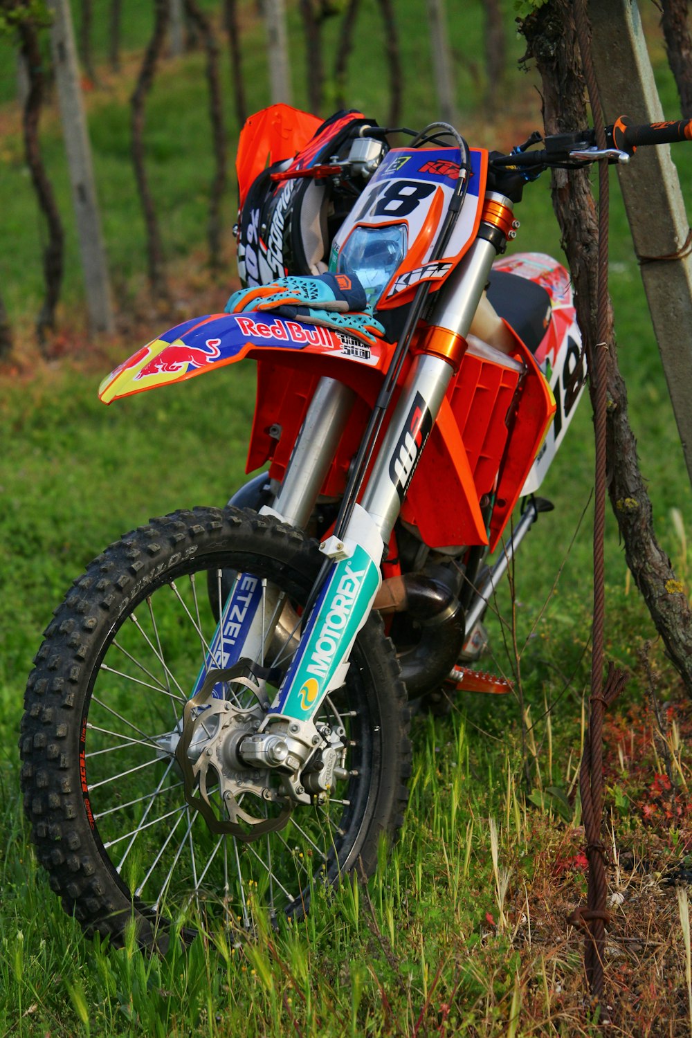 red motocross dirt bike near tree