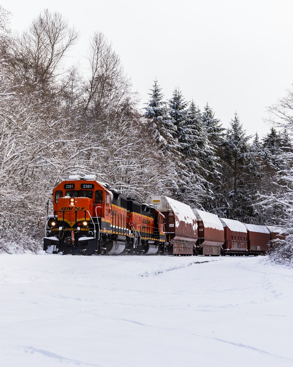 orange and white train