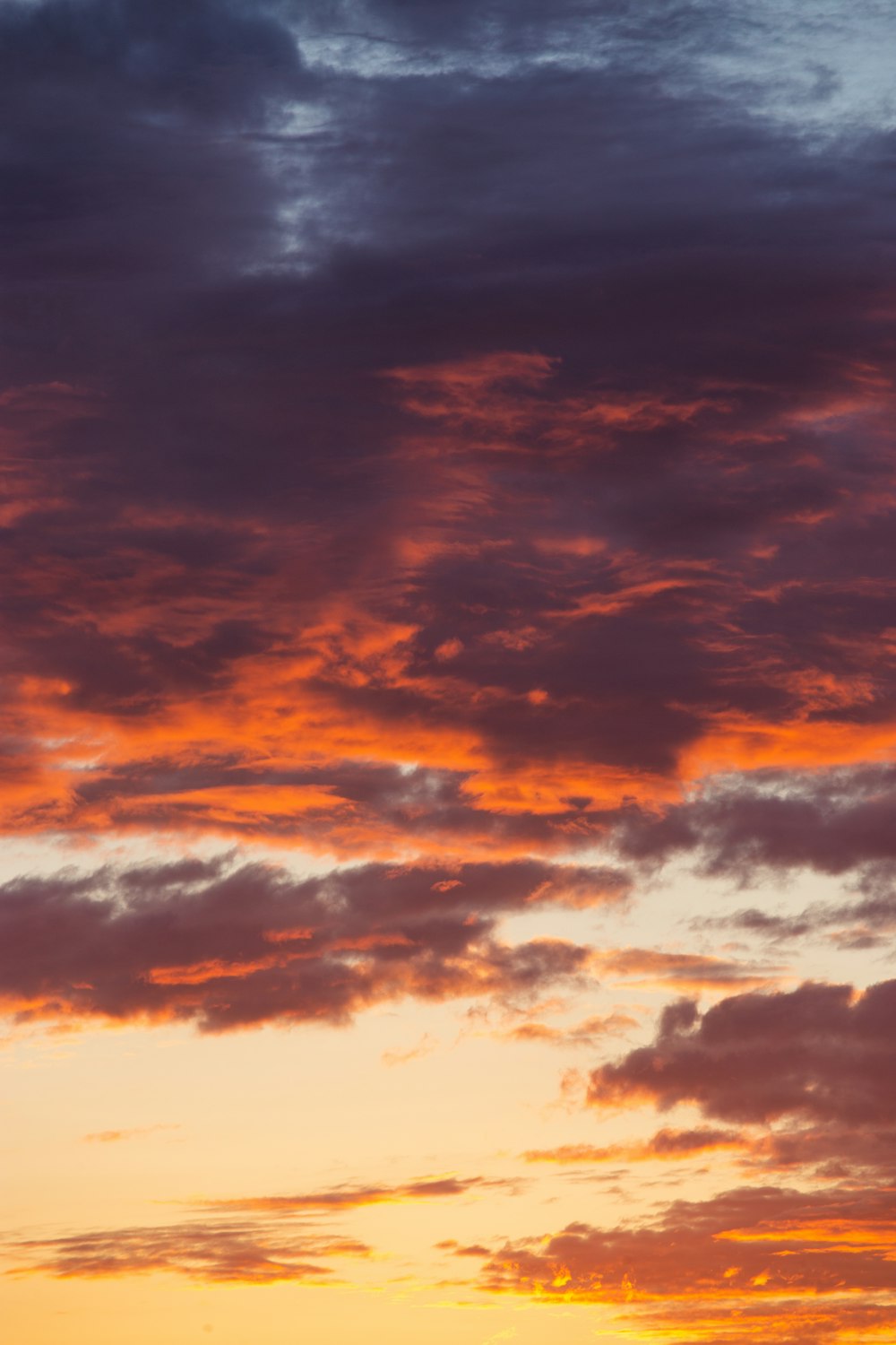 um avião voando no céu ao pôr do sol