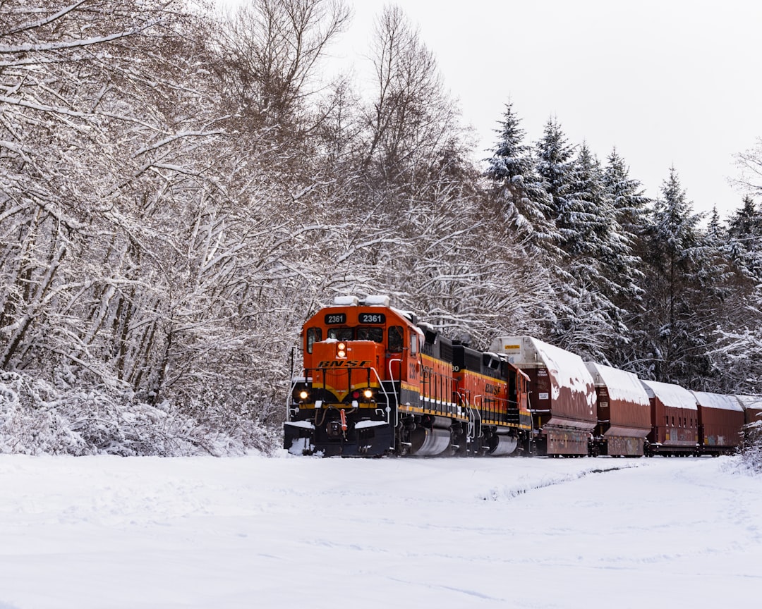 brown rain covered by snow,