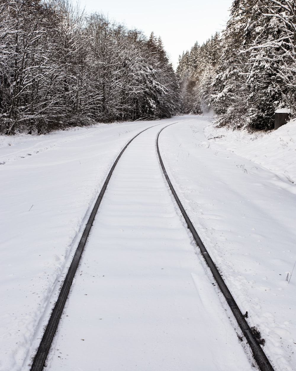 a train track in the middle of a snowy forest