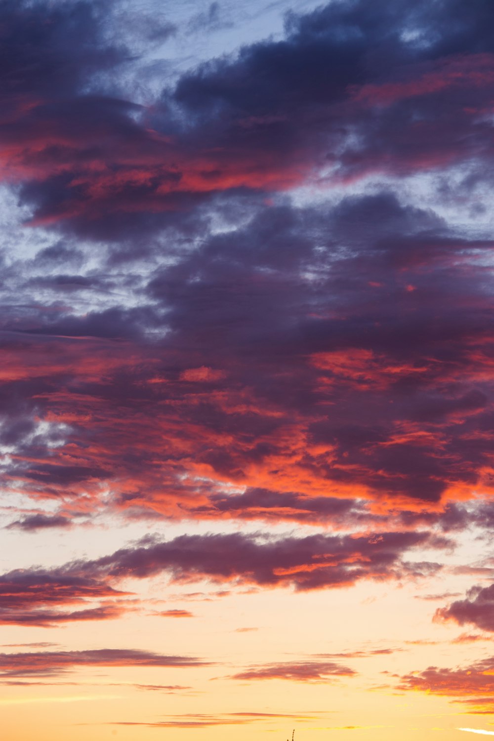 clouds during golden hour