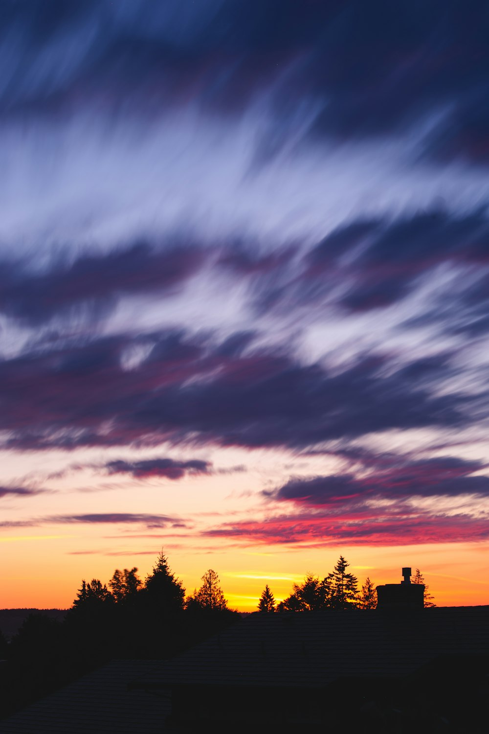 silhouette photography of trees during golden hour