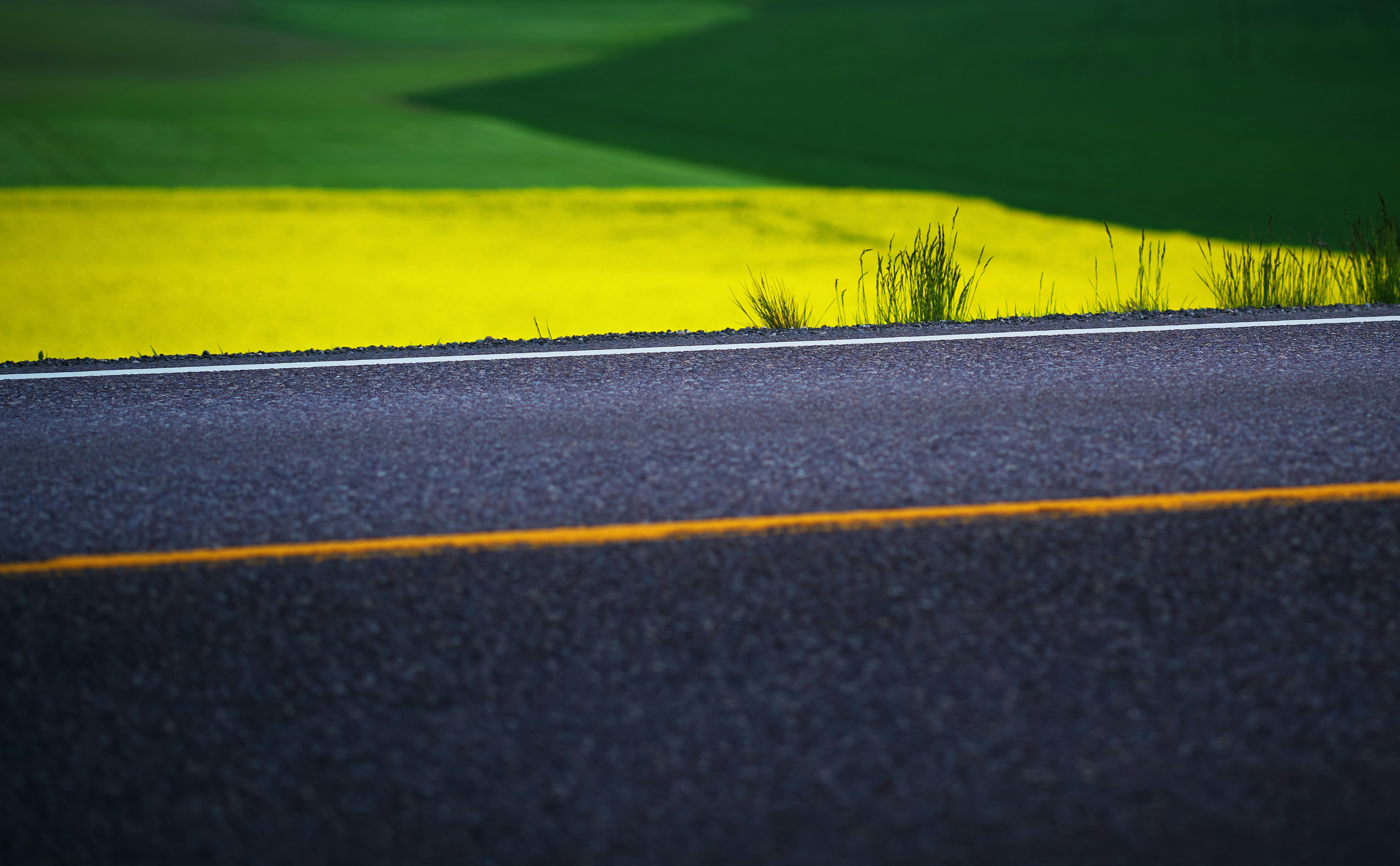 photo-1558727406-ee593e8e126b?ixlib=rb-1.2.1&ixid=MnwxMjA3fDB8MHxwaG90by1wYWdlfHx8fGVufDB8fHx8&auto=format&fit=crop&w=1239&q=80