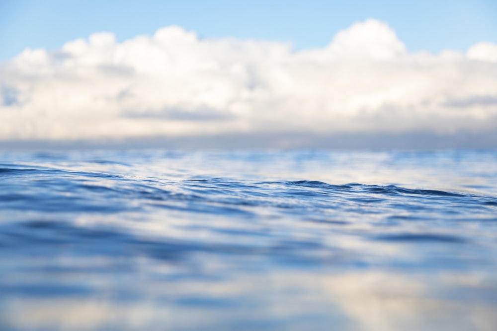 青空の下の穏やかな海