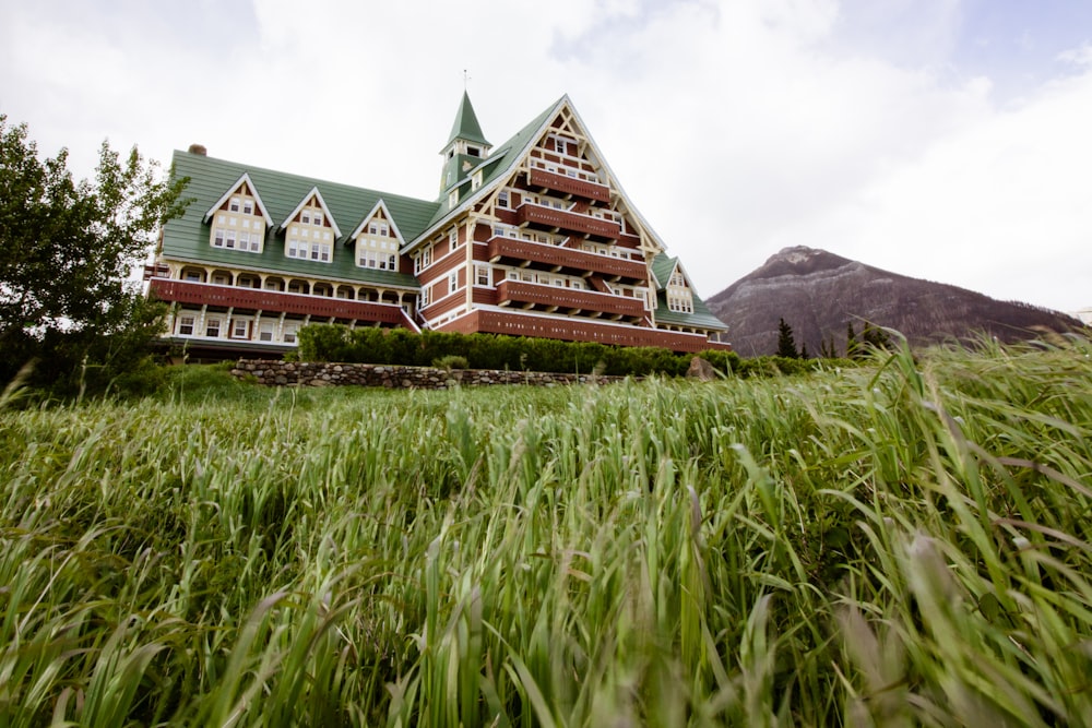 low-angle photography of red and green multi-storey house during daytime