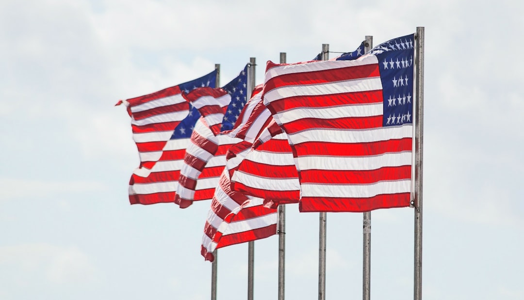 USA flags