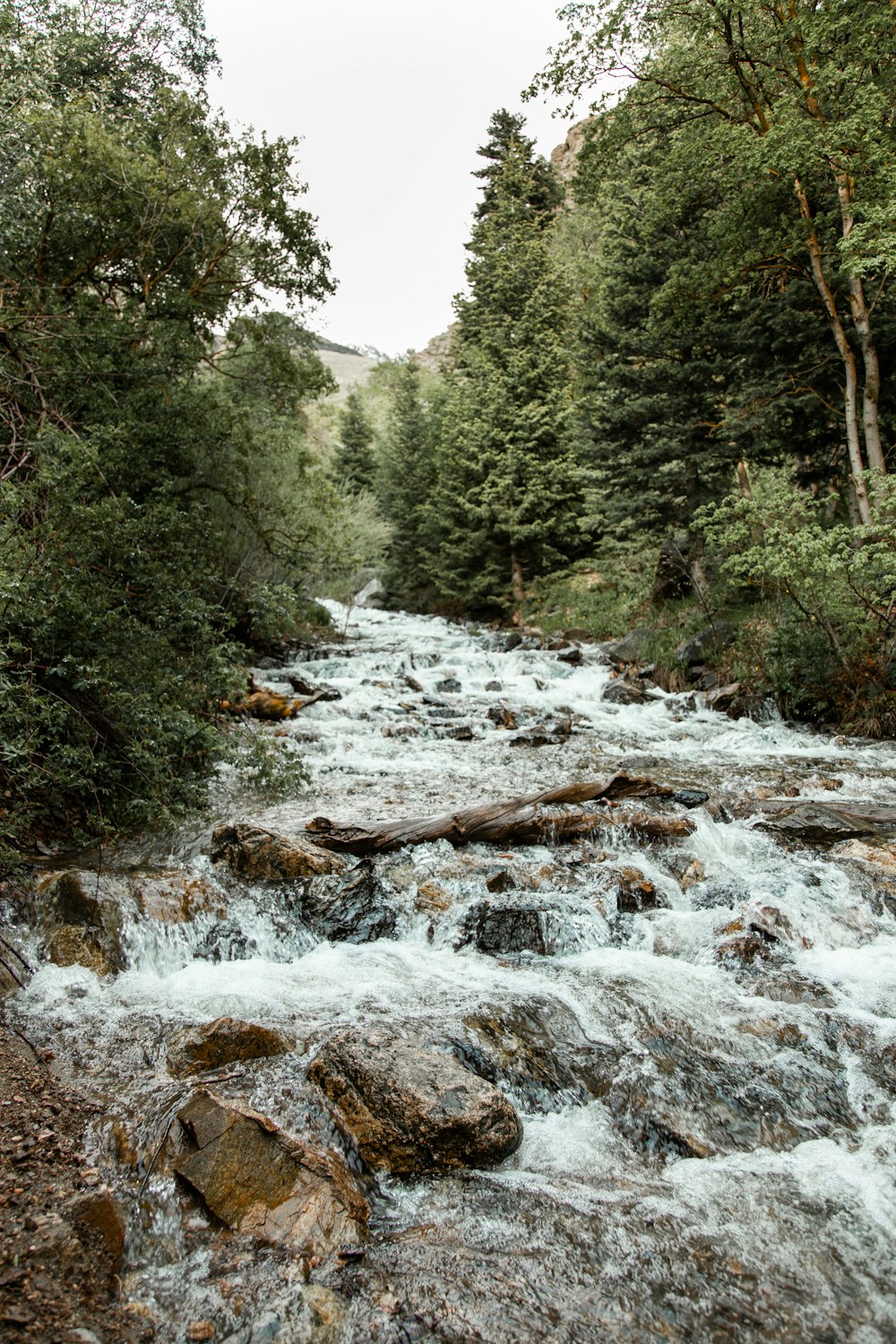 Fotografía de timelapse de río