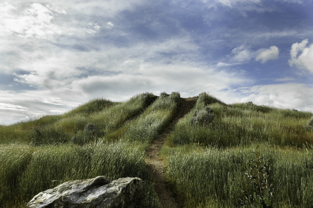 green grass field with pathway under blue sky