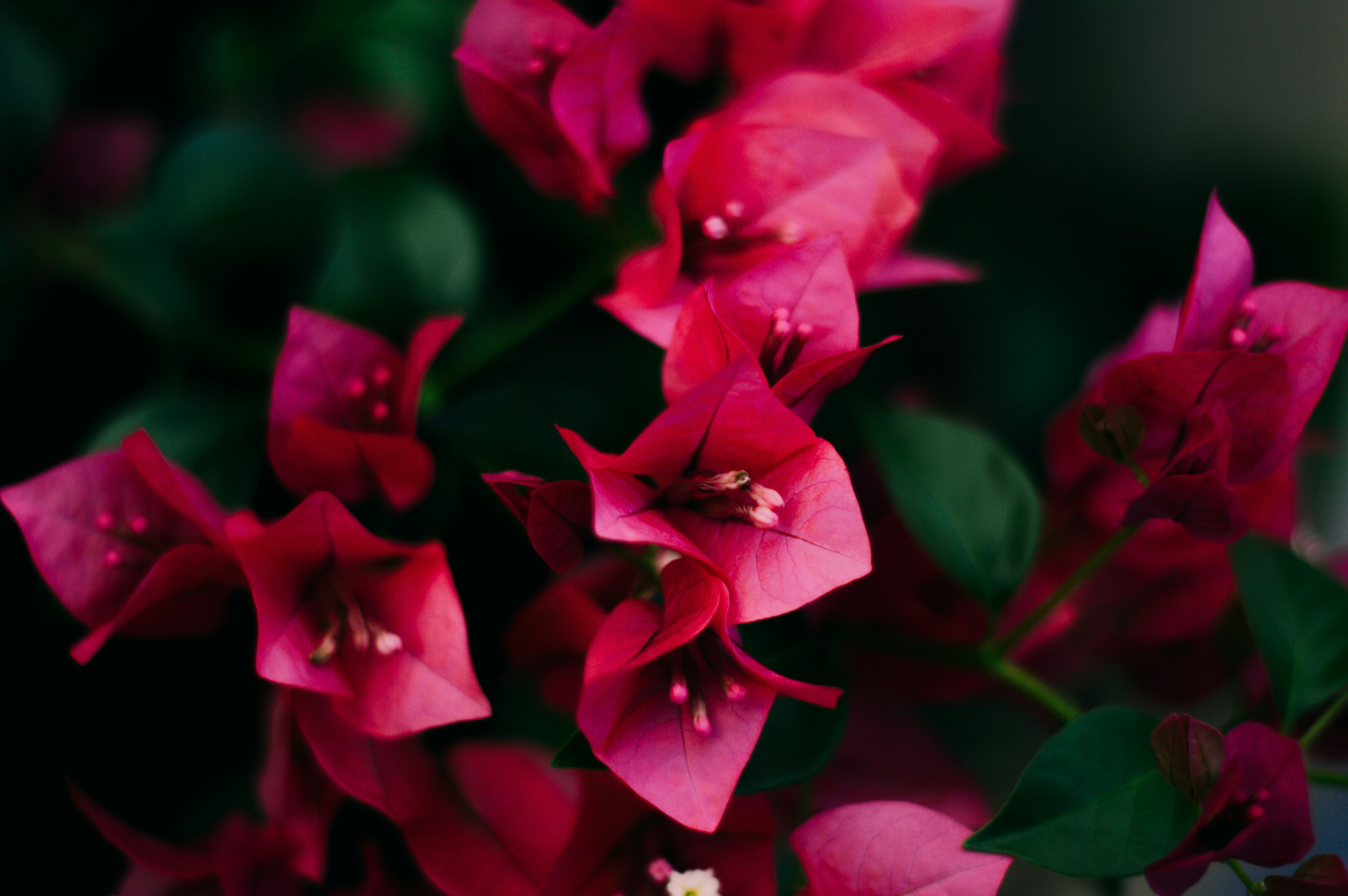Photo by flpschi