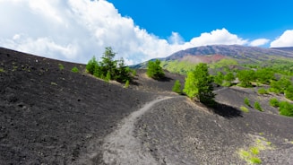 A scenic landscape featuring a winding path through an area of dark volcanic ash and sparse vegetation, with patches of bright green trees. In the background, a mountain with a mix of green and brown hues is visible under a bright blue sky filled with fluffy white clouds.
