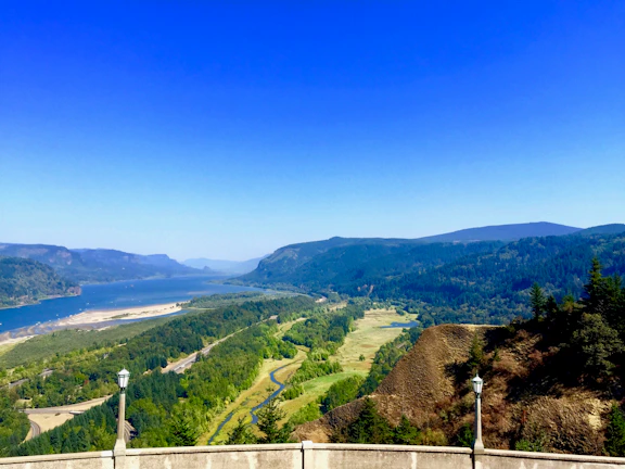 A panoramic view of a winding river cutting through lush green plains teeming with wildlife.