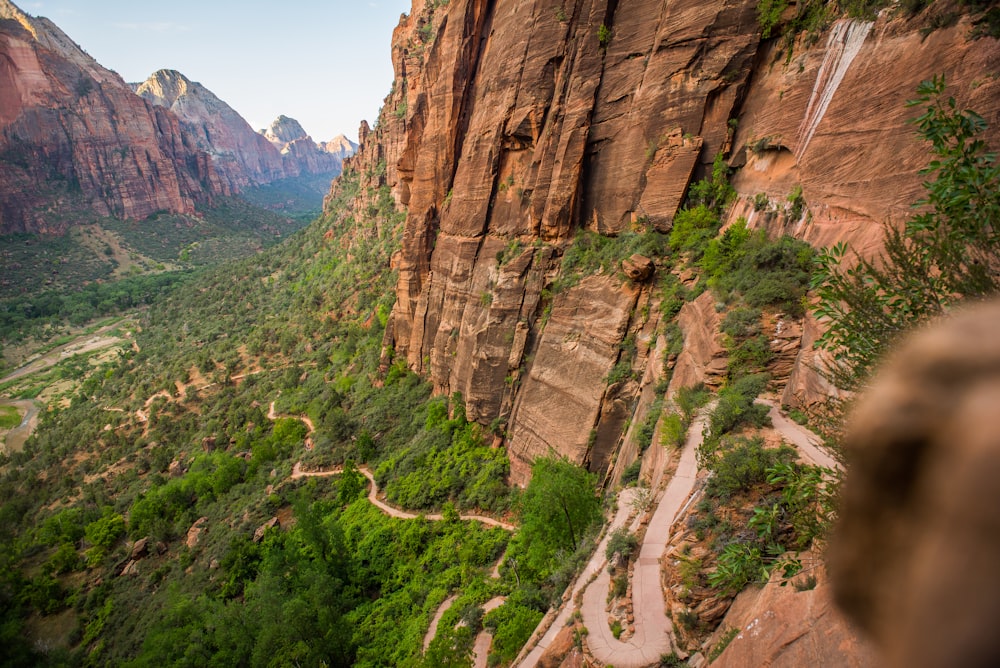 aerial photography of green plants on mountain slope - utah national parks road trip