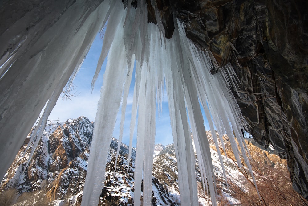 white window curtain