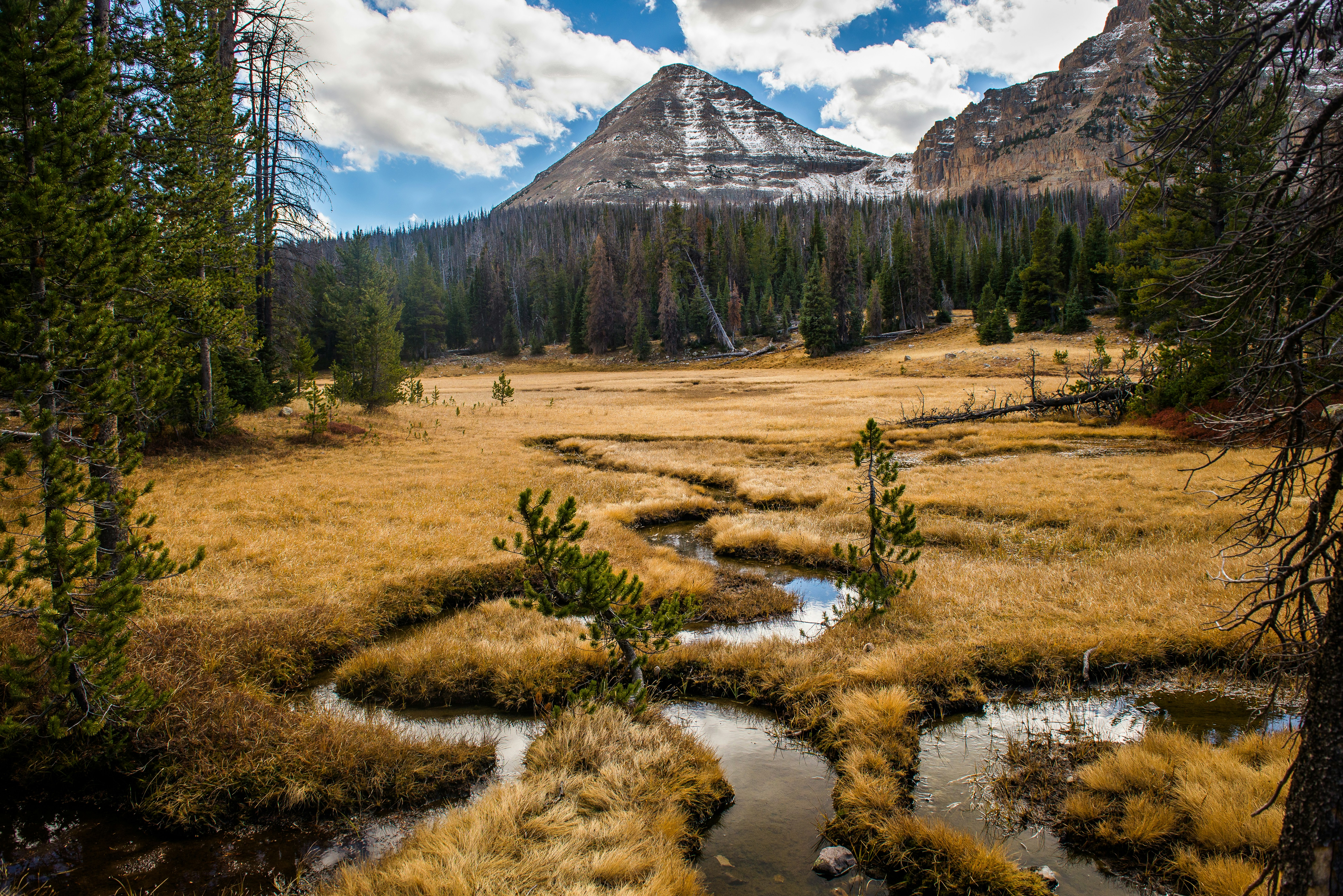 Photo by scottosbornphoto