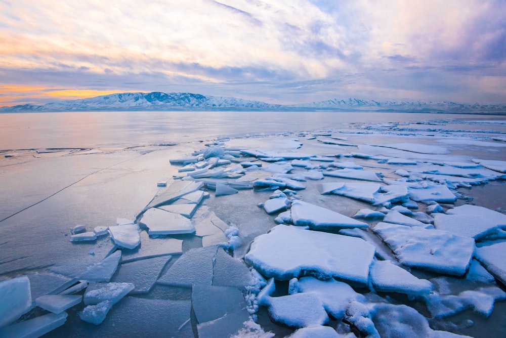 Fotografía de paisaje de campo de hielo