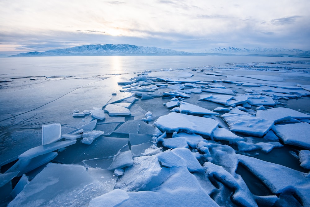 Fragmentos de hielo en el cuerpo de agua