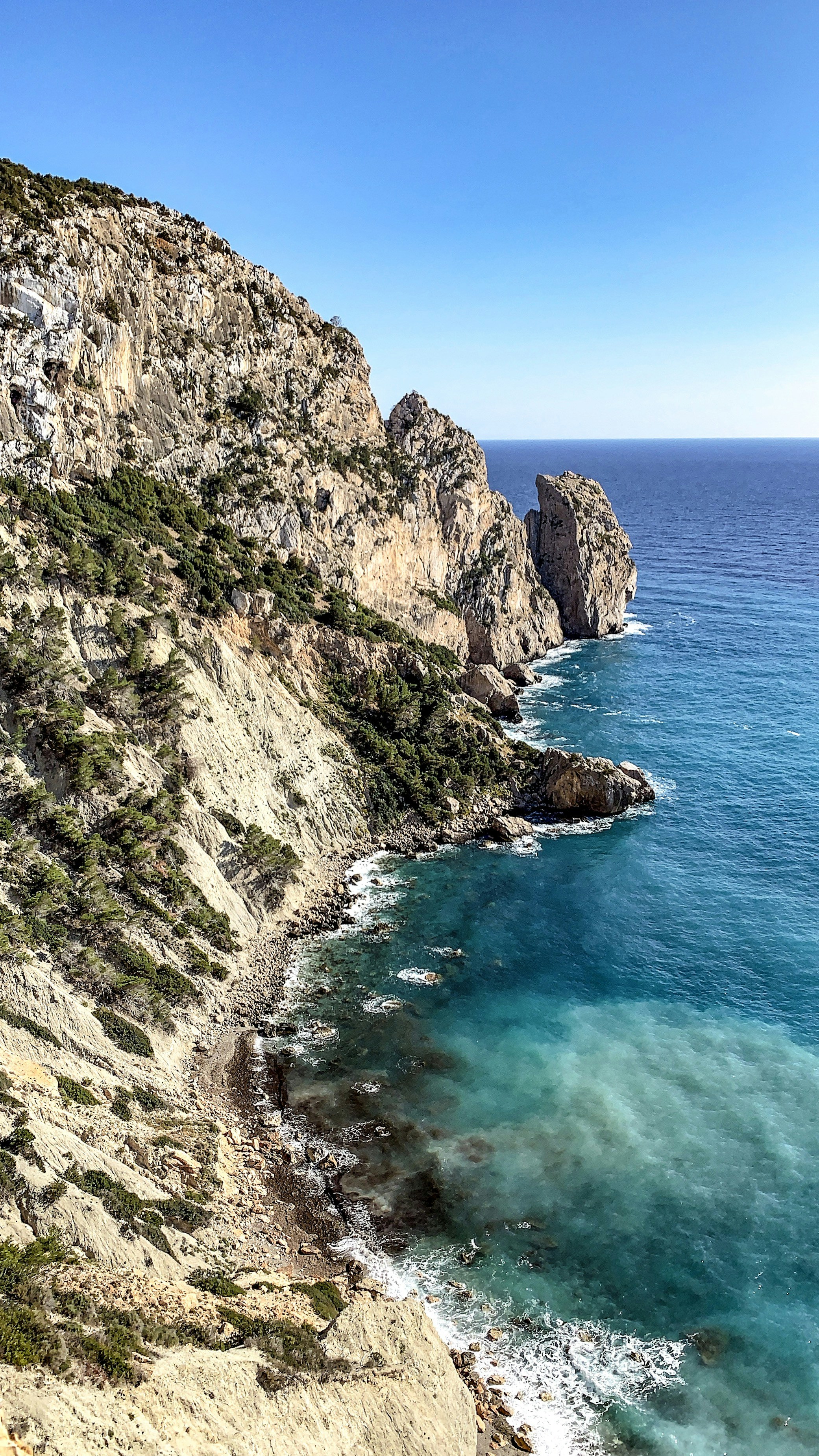 trees at the edge of the hill during daytime