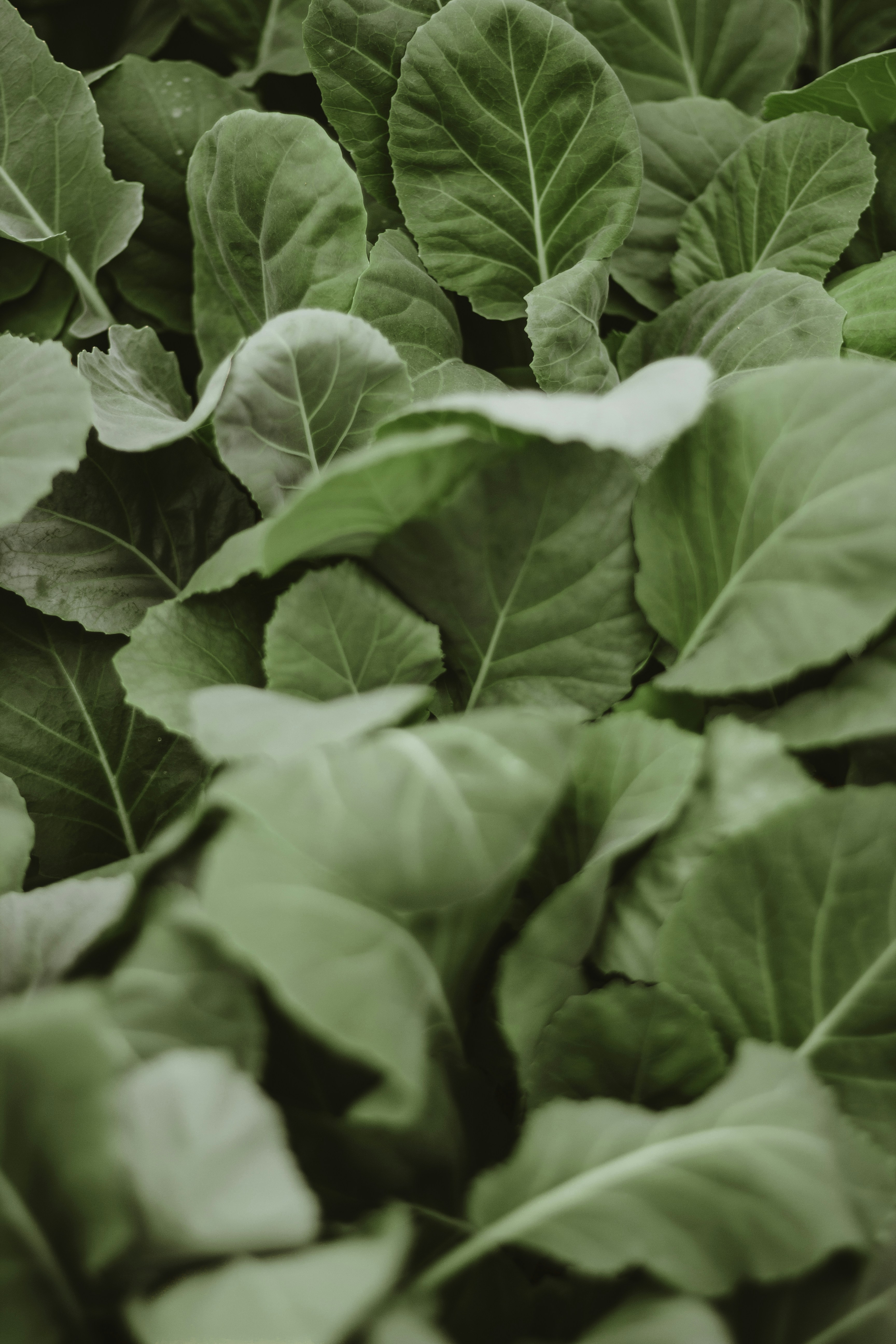 Photo by hayleymurrayphoto