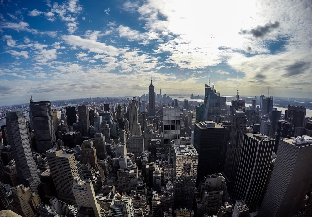 aerial photography of buildings