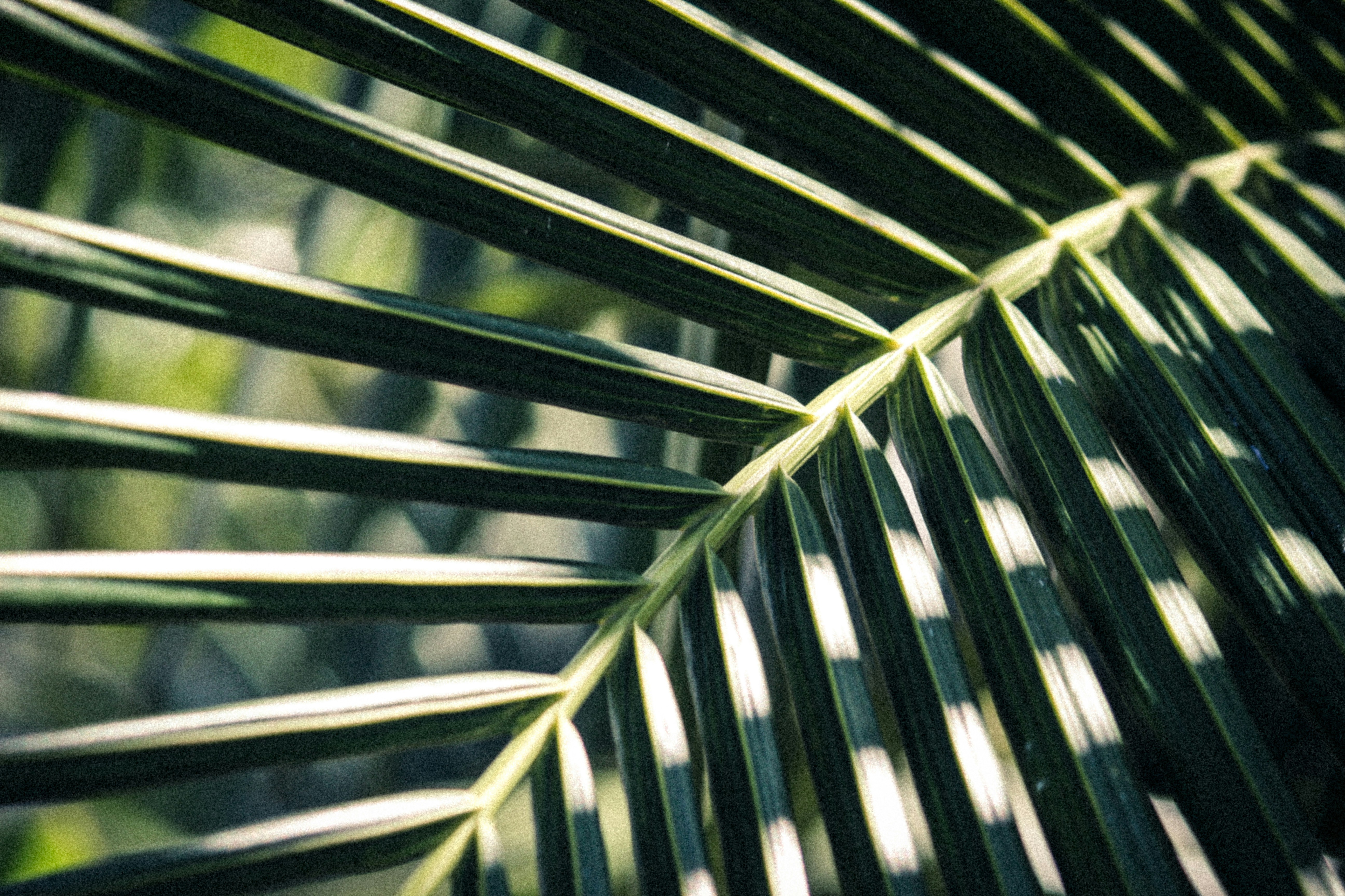 Photo by amandakariella