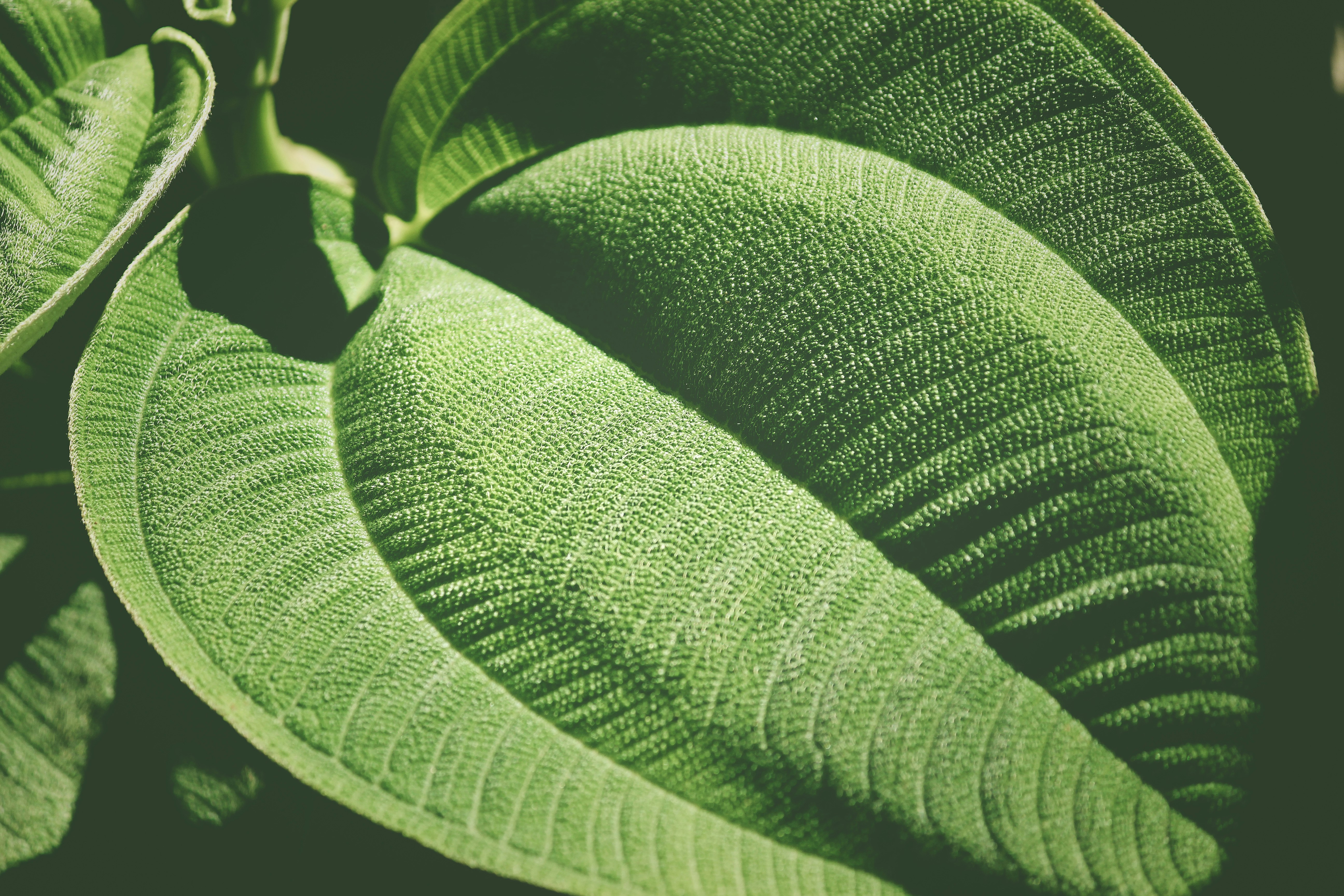 Photo by amandakariella