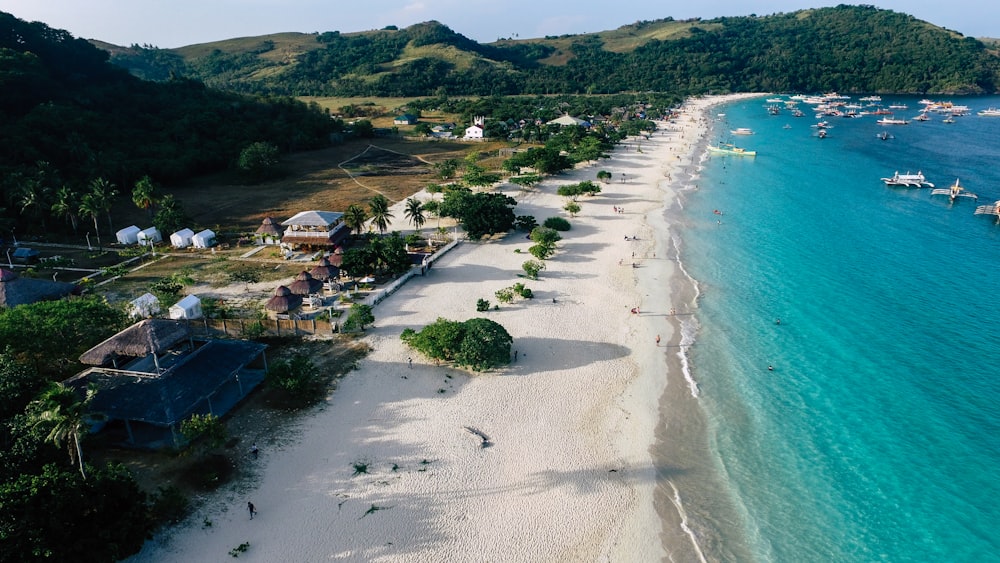 beach during daytime aerial photography