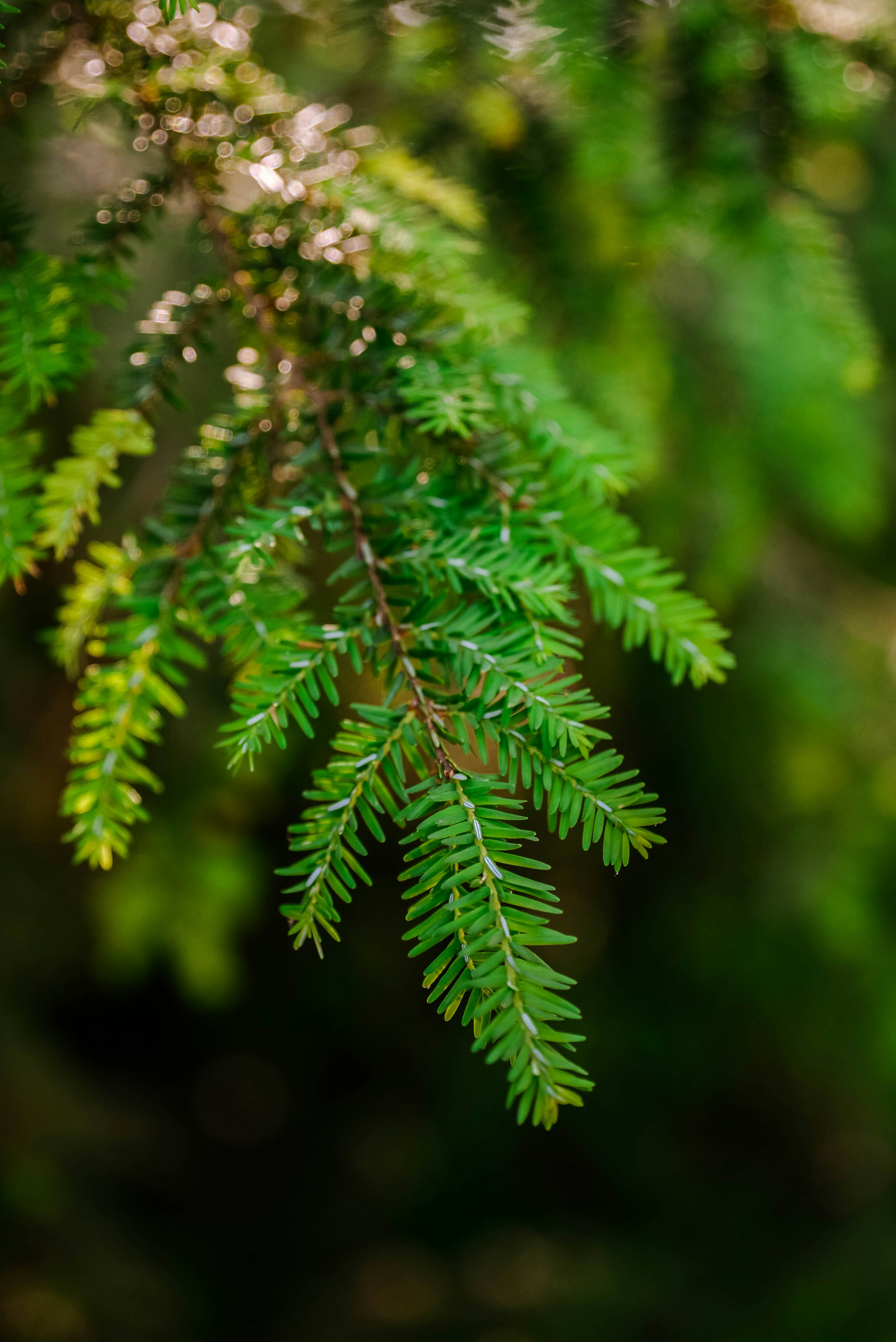 Photo by joyshotsphotography