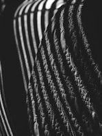 Bold contrasts of light and shadow with intricate patterns on a black background.