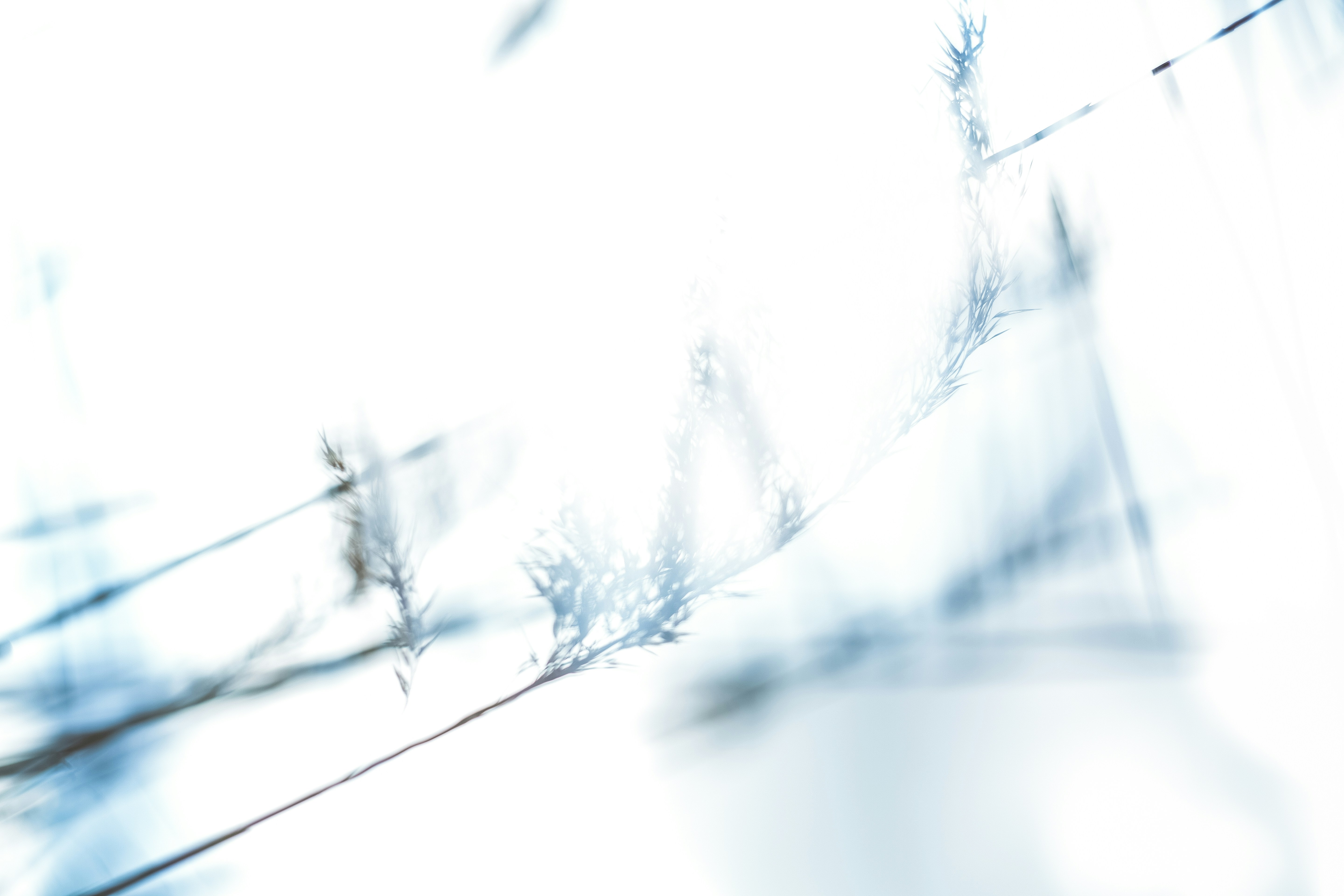 Photo by markusspiske