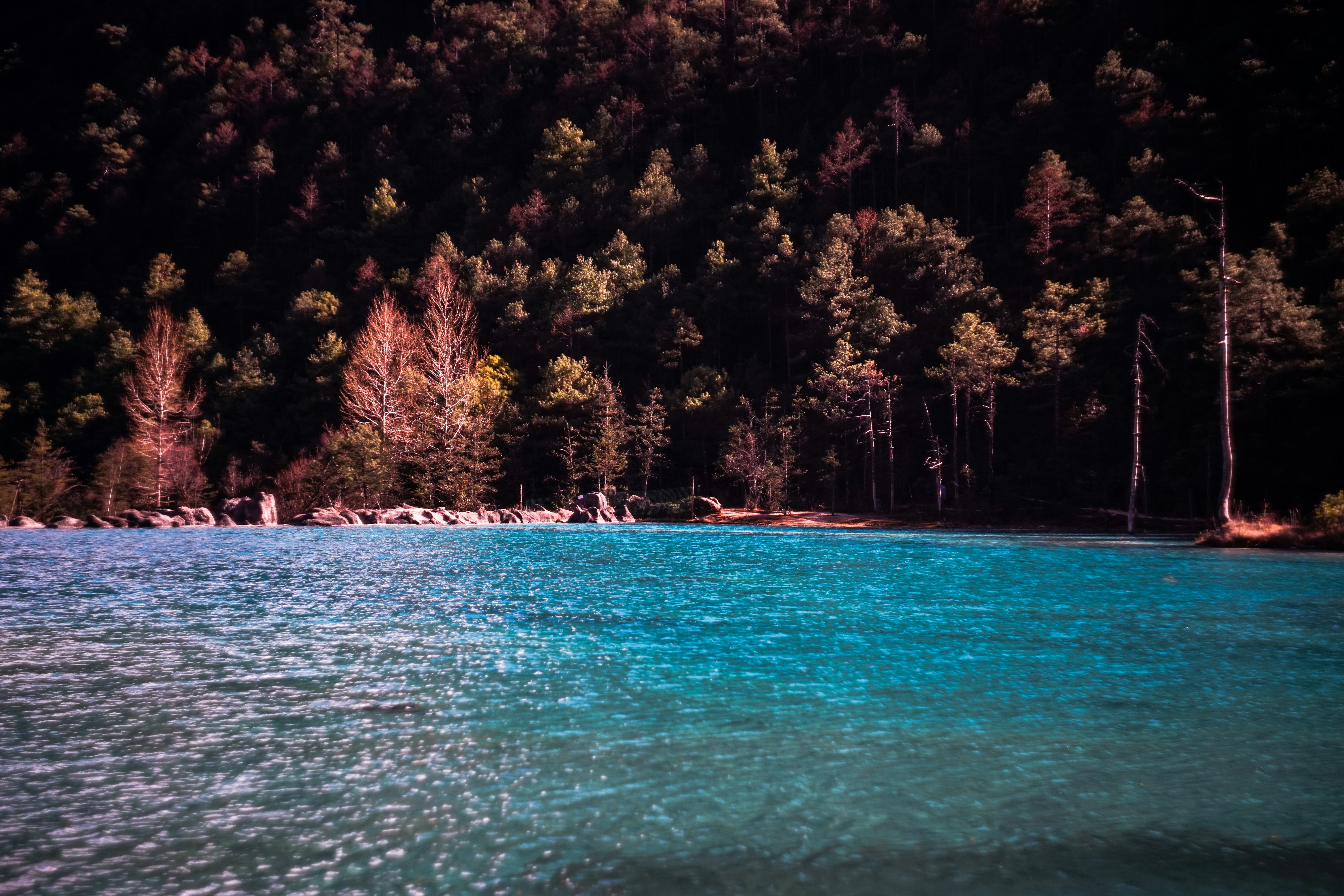 Photo by invisibledragon