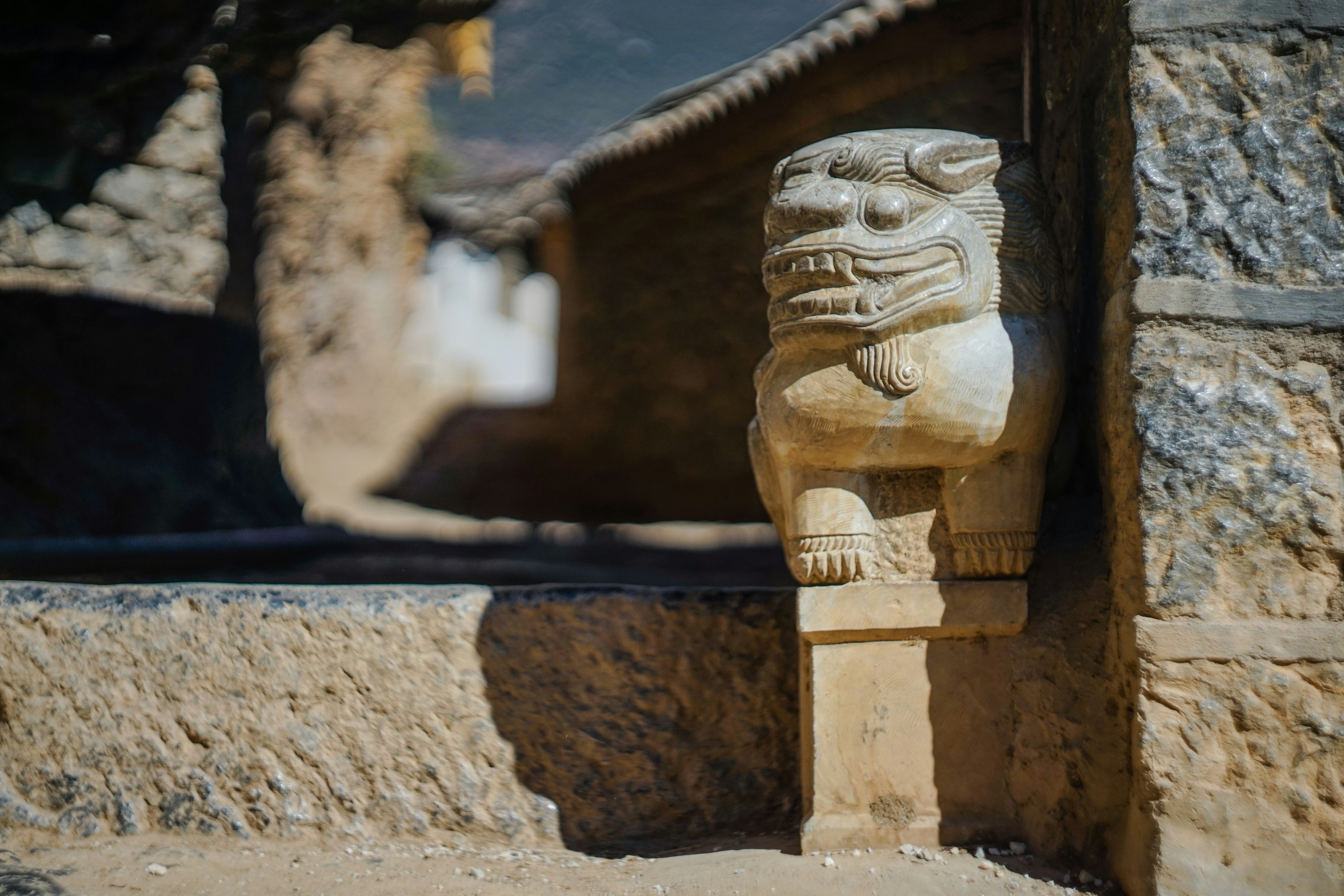 Photo by invisibledragon