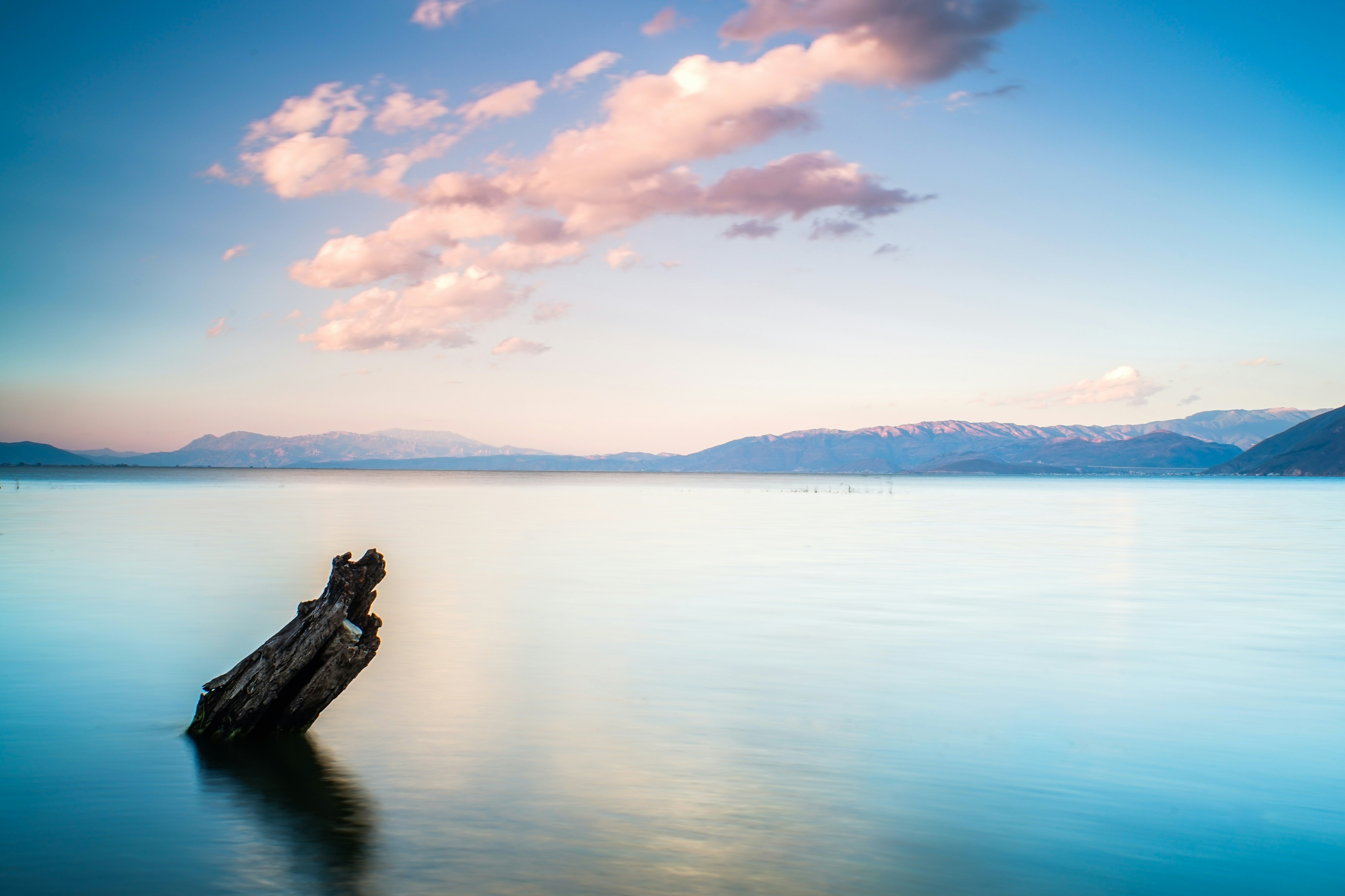 Photo by invisibledragon