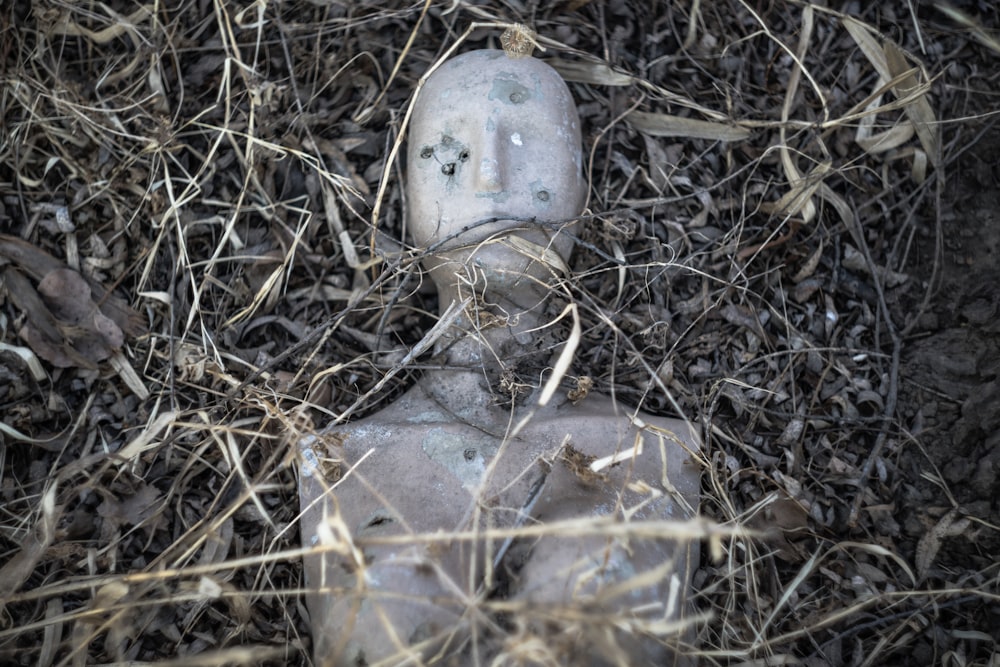 brown statue on ground